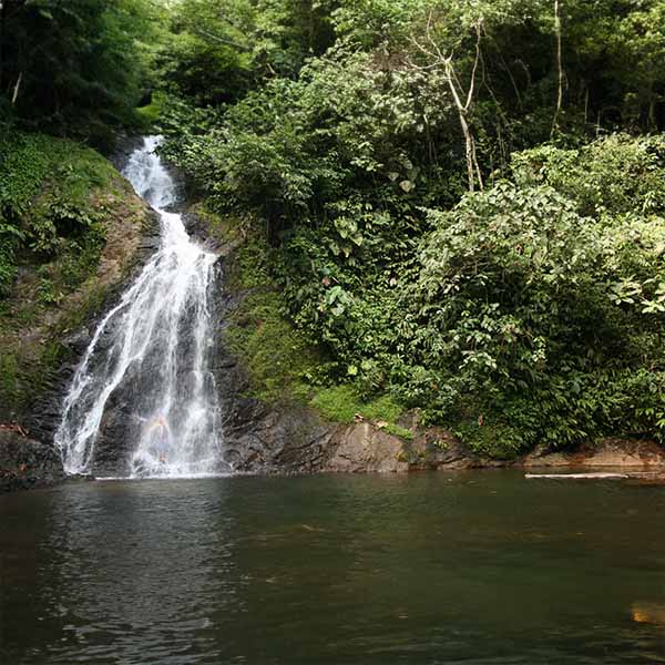 cascada La Avispa