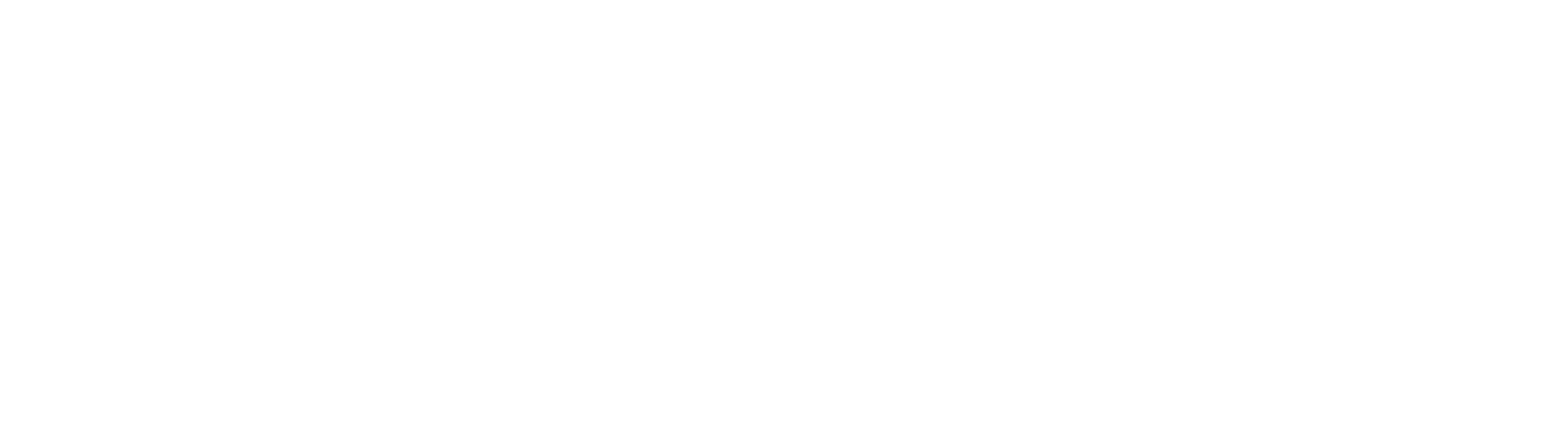 Logo blanco